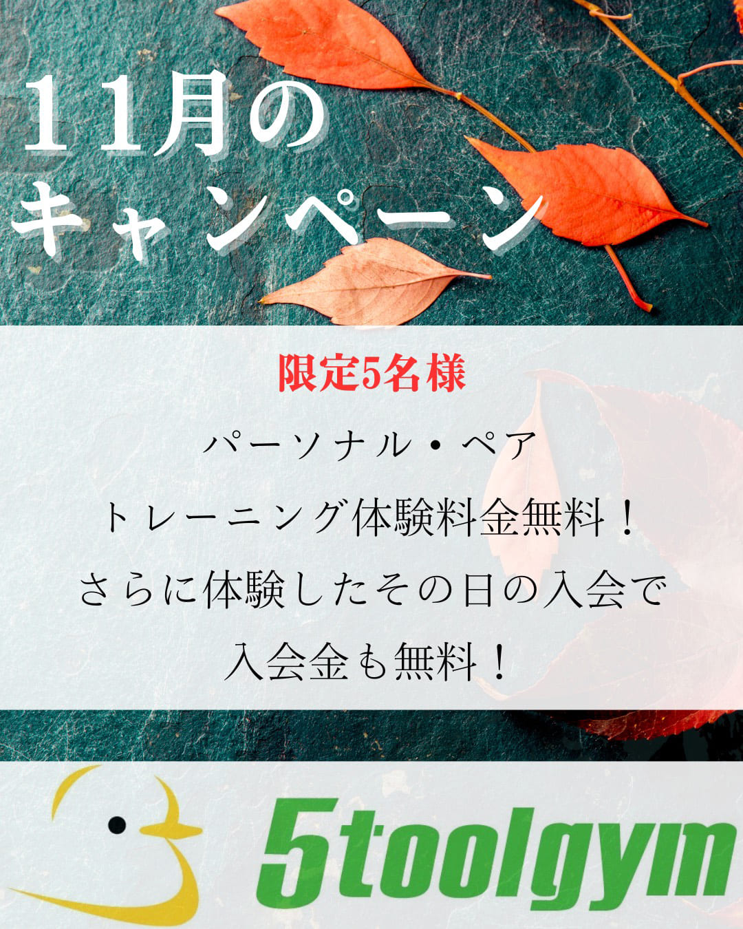 11月のキャンペーン